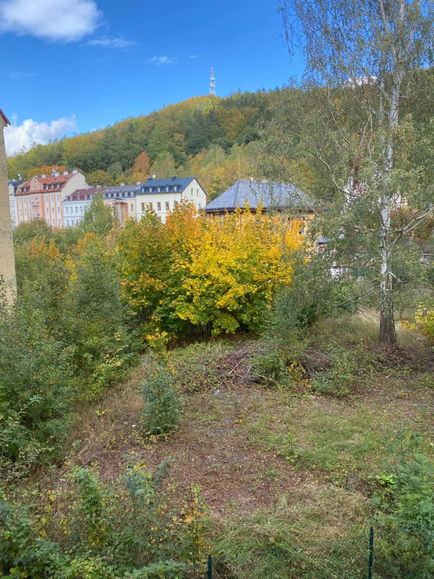 Apartmentscarlsbad Карловы Вары Экстерьер фото
