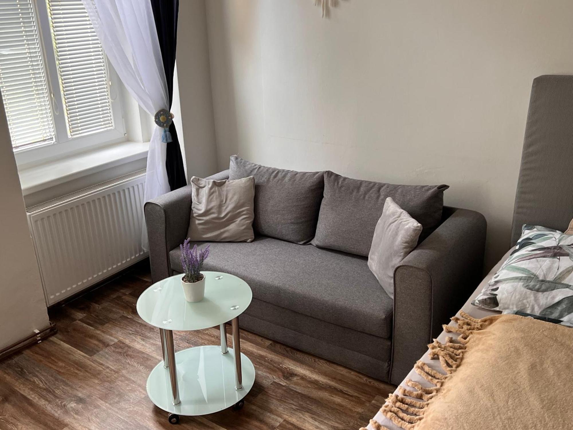 Apartmentscarlsbad Карловы Вары Экстерьер фото
