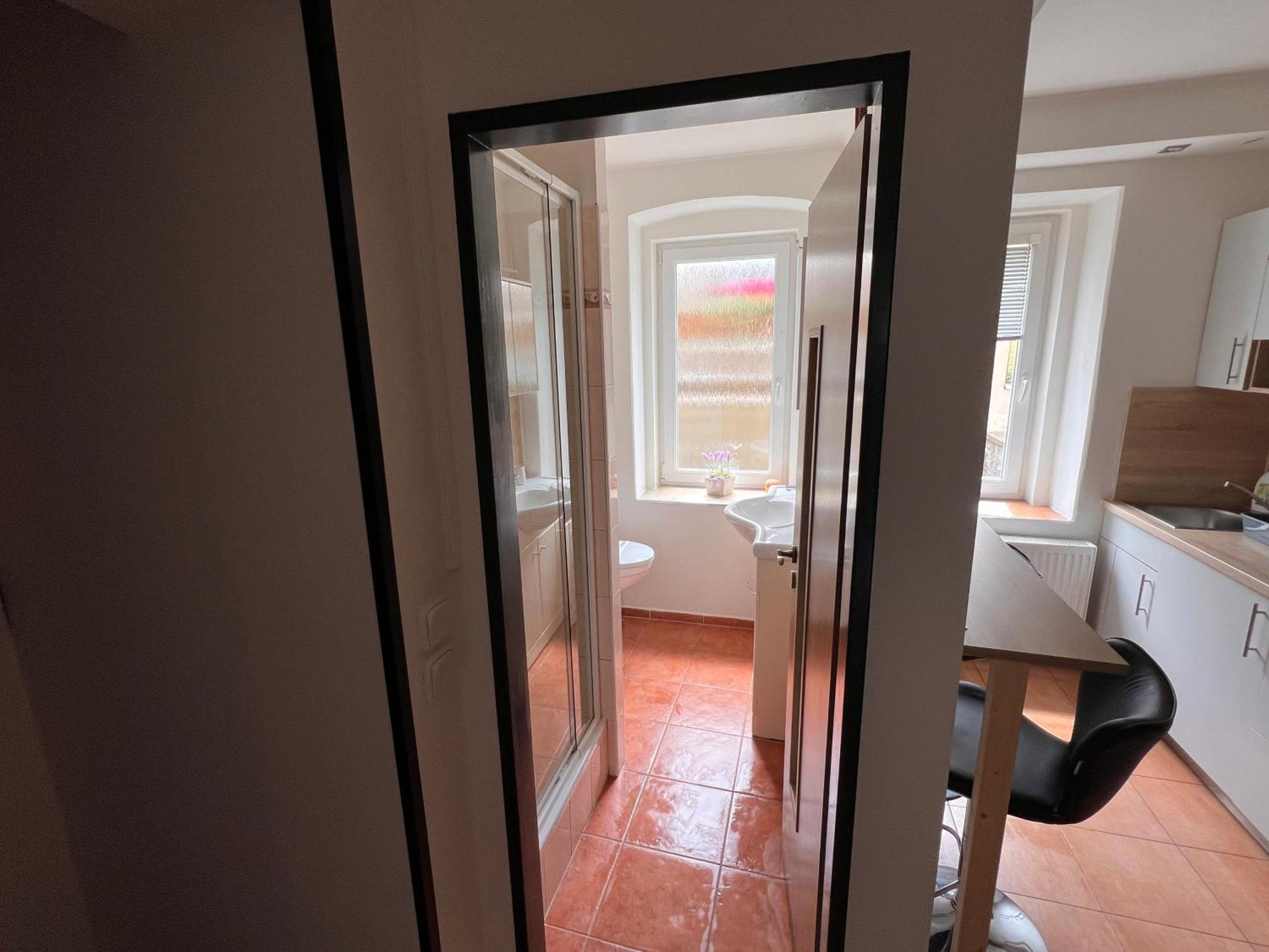 Apartmentscarlsbad Карловы Вары Экстерьер фото